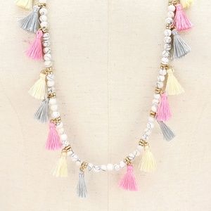 Multi Color Beaded Tassel Long Necklace